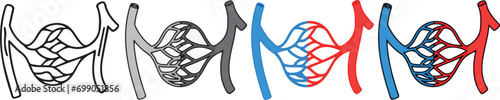 human anatomy. veins icon with 4 different styles.