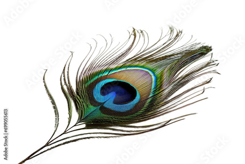 A Peacock Feather On Transparent Background