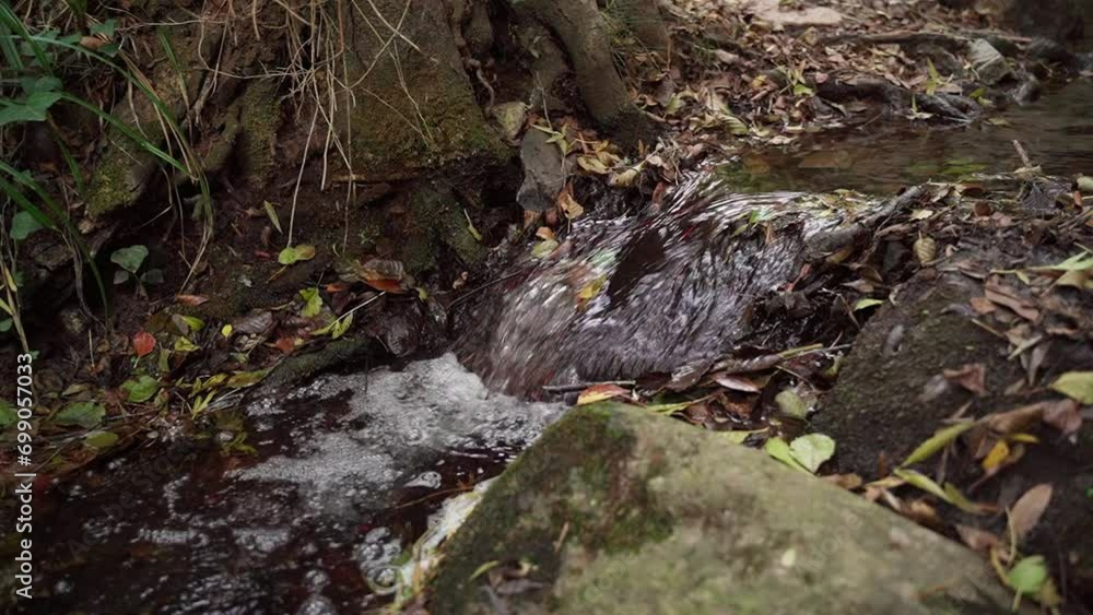 Tranquil Creek Flowing Amongst Rocks in Montseny Forest, Catalonia, Spain Tranquil Creek Flowing Amongst Rocks in Montseny Forest, Catalonia, Spain