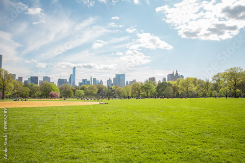 Central Park Lawn with the Skyline of New York City Manhatten in the Background