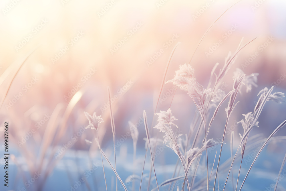 Frozen Beauty: Wildflowers Enveloped in Winter's Embrace