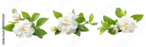 Photo white jasmine on white isolated background