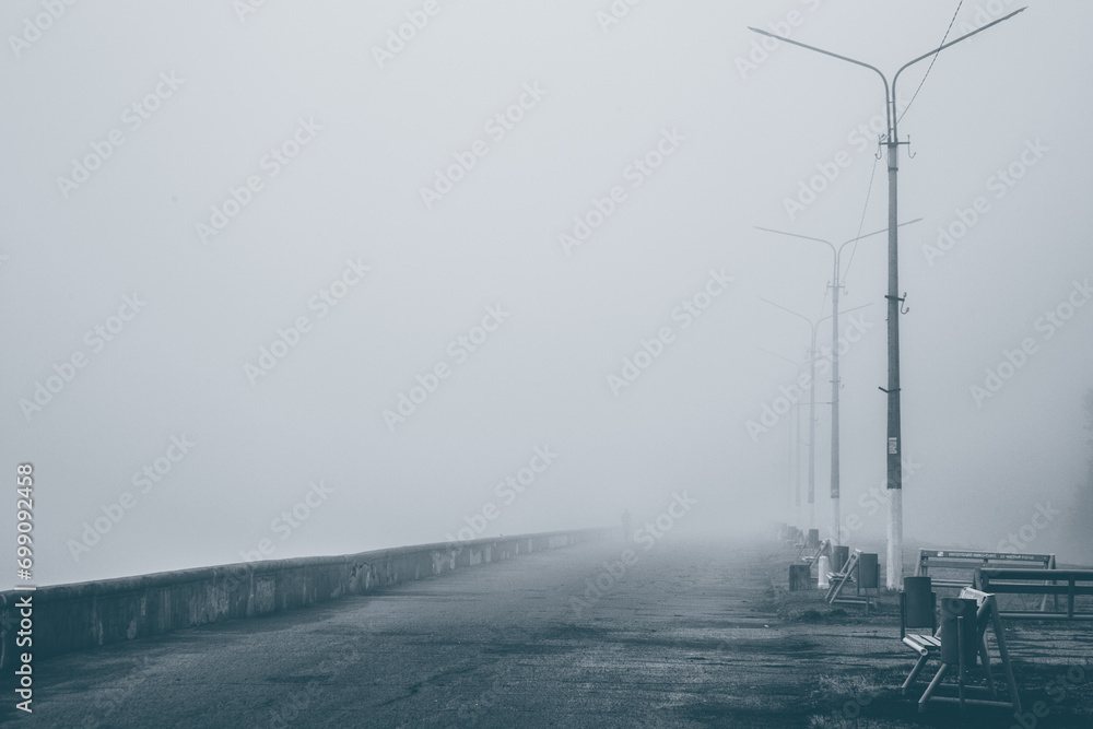 Foggy landscape, foggy black and white landscape