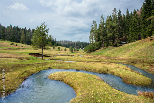 View of melting snow waters and meadows in autumn. Green forest land. Pürenli Plateau.