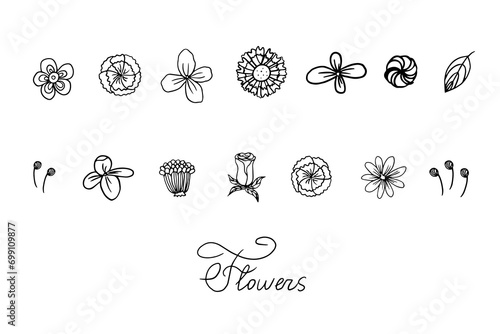 Set of elegant hand drawn flowers and flower buds. Great for wedding decoration, design, packaging, banners or advertising. Vector illustration EPS10. Isolated on white background. Doodle