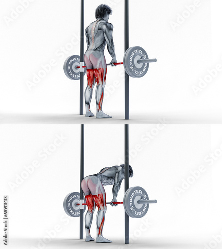 141 Smith Machine RDL. 3D Anatomy of fitness and bodybuilding. An outstanding display of male muscles. Targeted muscles are red. No background. Png.
 photo