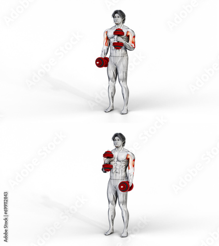 196 DB Cross Body Bicep Curl. 3D Anatomy of fitness and bodybuilding. An outstanding display of male muscles. Targeted muscles are red. No background. Png.
 photo