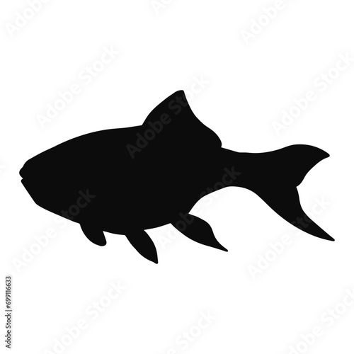 ornamental fish silhouette isolated on transparent background