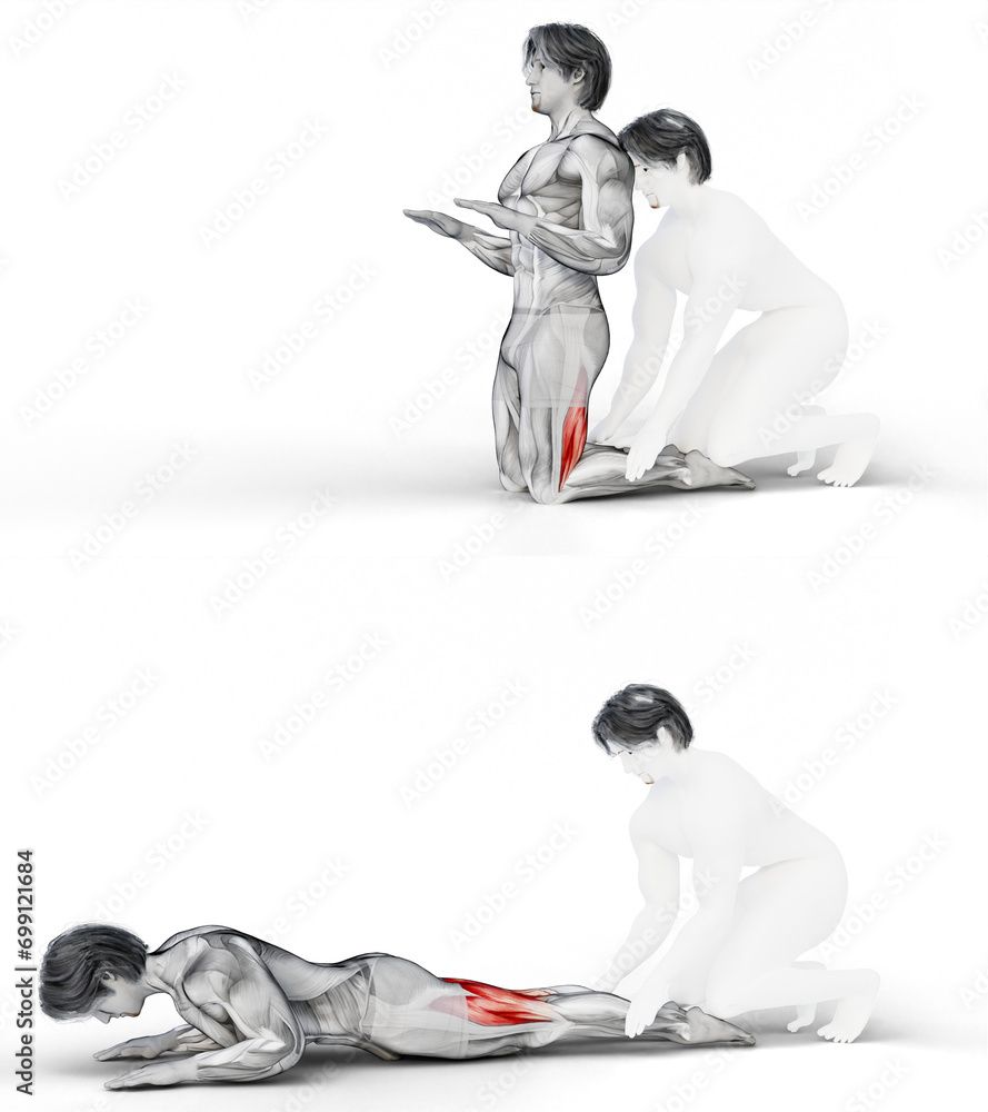 393 Hamstrings BodyweightNordic Hamstring Curl. 3D Anatomy of fitness