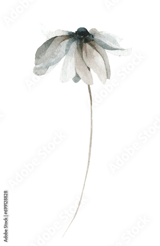Watercolor painted gray, black, brown chamomile. Traced vector illustration. Watercolour artistic drawing