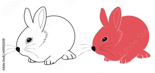 Ilustración de conejo en linea, dibujo de conejo en plano, conejo para colorear, dibujo de animal