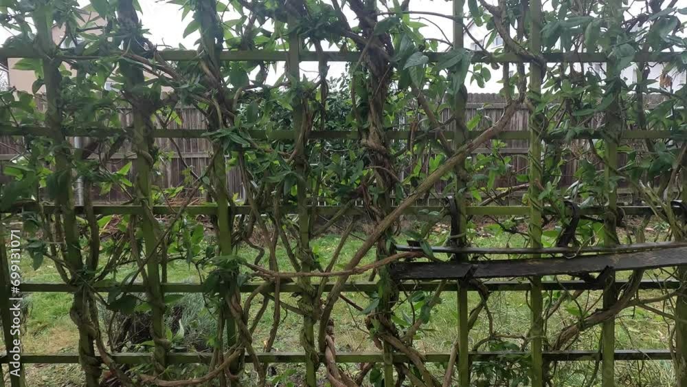 Rainy weather in winter in Bavaria