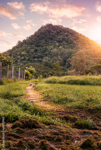 landscape in the mountains