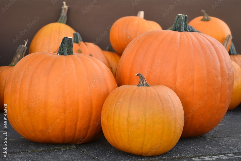 Orange halloween pumpkins in different sizes on pavement Orange halloween pumpkins in different sizes on pavement