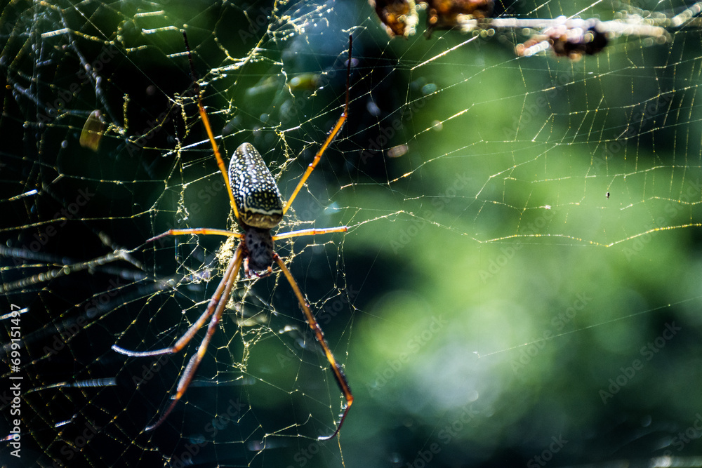 Araña Verano, Barades Araña Verano, Barades