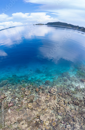 Healthy coral reefs thrive in Misool, Raja Ampat, Indonesia. These scenic islands' coral reefs, and the surrounding seas, support extraordinary marine biodiversity. © ead72