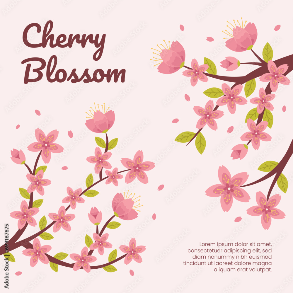 Pink Cherry Tree Blossom Background