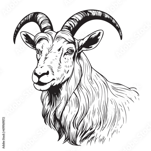 Farm goat hand drawn sketch Vector illustration