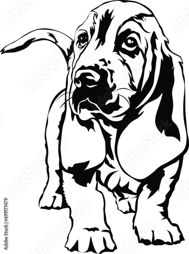Cartoon Black and White Isolated Illustration Vector Of A Pet Bloodhound Puppy Dog Standing Up
