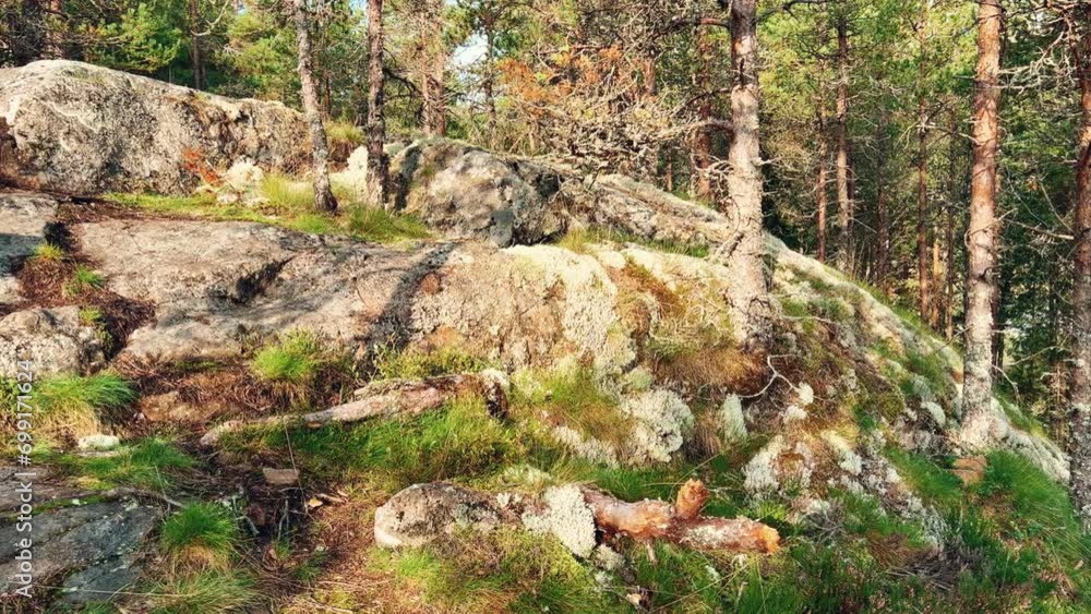 Russia, Lake Ladoga, Koyonsaari. View of the coast of the island with white moss and stones. Beautiful nature of the Republic of Karelia. Skerry islands on a sunny day. 4K Russia, Lake Ladoga, Koyonsaari. View of the coast of the island with white moss and stones. Beautiful nature of the Republic of Karelia. Skerry islands on a sunny day. 4K