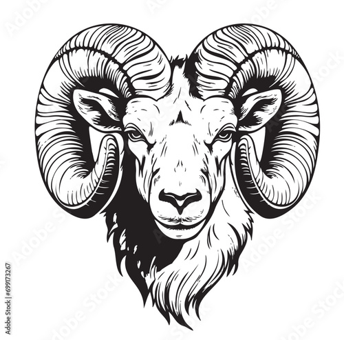 Mountain ram face hand drawn sketch Vector illustration
