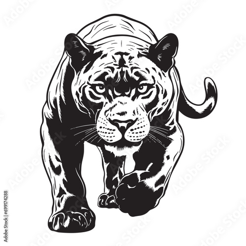 Canvas Print Panther attacking hand drawn sketch illustration Wild animals