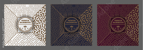 A luxurious pattern. A set of spectacular patterns for covers, prints, interior design, packaging, premium funds and creative ideas