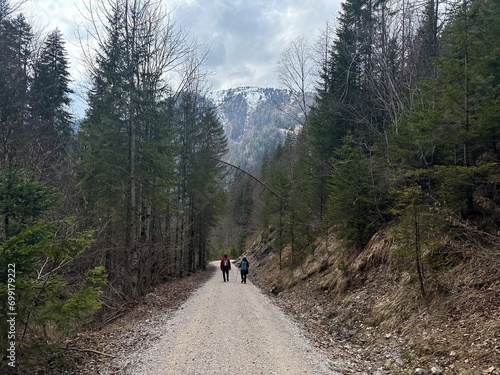 A walk hiking through the winter forest.