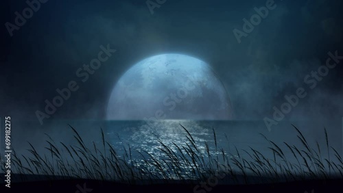 Beach Grass Silhouette Blowing in the Full Moon Night 4K Loop features a scene with an ocean and full moon hanging low in the background with a silhouette of long grass blowing in the wind in the fore photo