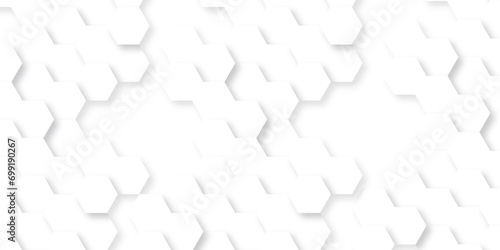 Fototapeta Naklejka Na Ścianę i Meble -  Abstract background with lines. Modern simple style hexagonal graphic concept. Background with hexagons. Abstract honeycomb background.