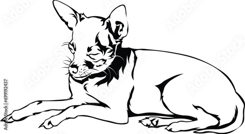 Cartoon Black and White Isolated Illustration Vector Of A Pet Chihuahua Puppy Dog Laying Down