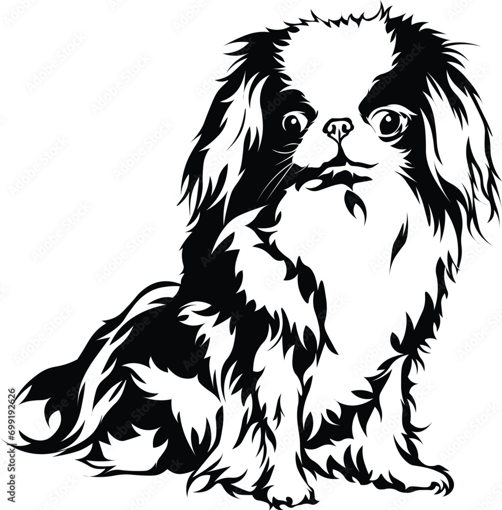 Obraz premium Cartoon Black and White Isolated Illustration Vector Of A Pet Shih-Tzu Puppy Dog Sitting Down