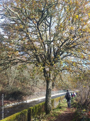 natureza e paz de espírito, espanha