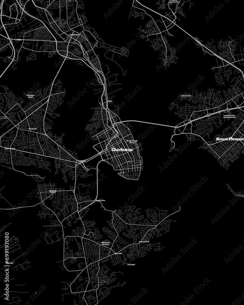 Naklejka premium Charleston South Carolina Map, Detailed Dark Map of Charleston South Carolina