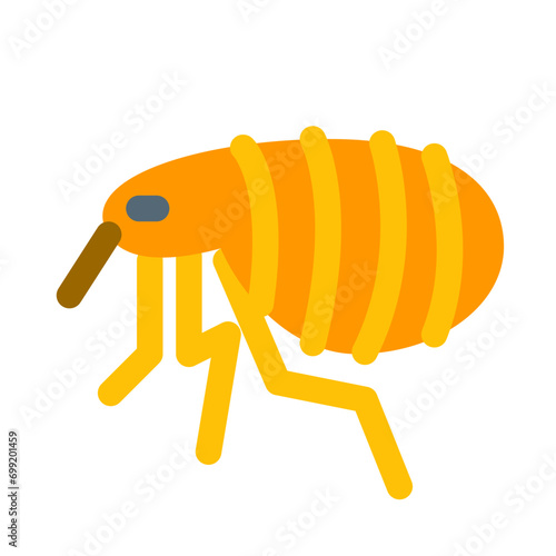 害虫、ノミを表すカラースタイルのアイコン