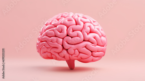 Model of Human Brain