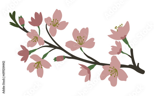 Abstract cherry blossom flowers vector clipart. Spring illustration. © TasaDigital