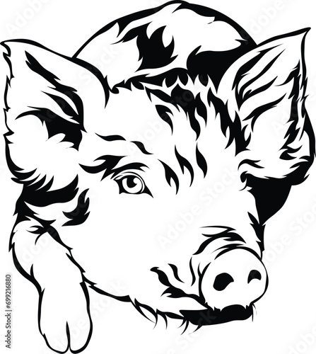 Cartoon Black and White Isolated Illustration Vector Of A Farm Pig Piglet Standing Up