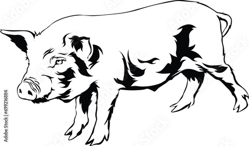 Cartoon Black and White Isolated Illustration Vector Of A Farm Pig Piglet Standing Up