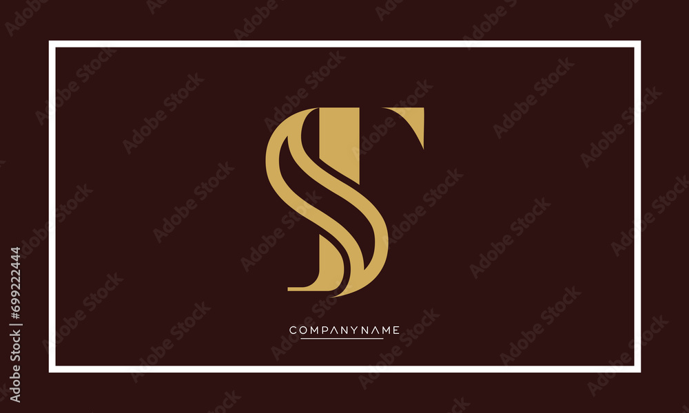 Fototapeta premium TS or ST Alphabet letters initial logo monogram 