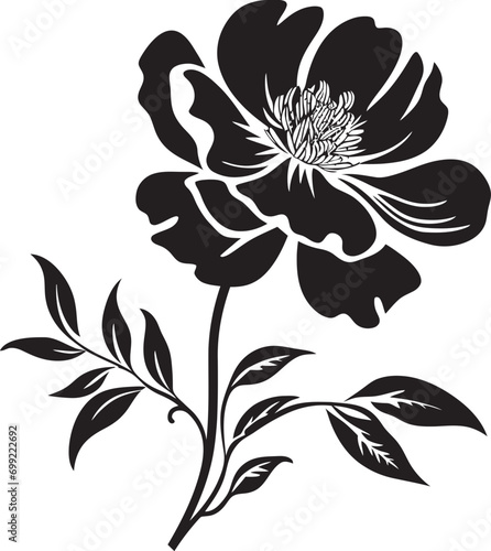 Fototapeta Naklejka Na Ścianę i Meble -  Artisanal Petal Craft Hand Drawn Black Floral Iconography Moody Botanical Noir Inked Floral Vector Elements