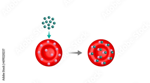 Hemoglobin A1C (HbA1c) blood , Glycated hemoglobin, HbA1c test, Diabetes mellitus. Blood glucose levels. Vector illustration.	