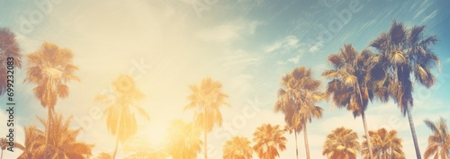 Coconut palm trees, beautiful tropical background, vintage filter