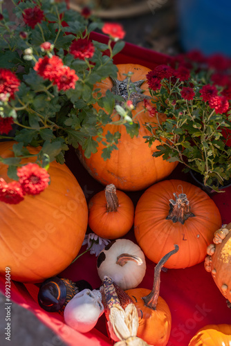 Rustic cart at the autumn fair, a picturesque blend of pumpkins and flowers. A delightful showcase capturing the beauty of the fall harvest.