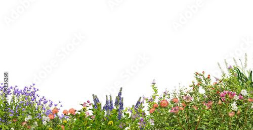 A small garden foreground decorated with many flowers and plants on a transparent background.