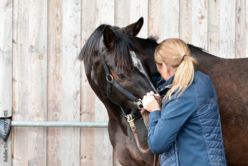 Pferdeosteopathie. Junge Tierärztin behandelt braunes Pferd osteopathisch