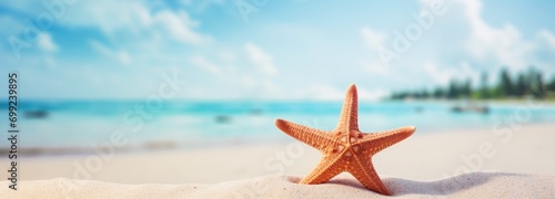 Tropical beach with sea-star in sand  copyspace for text. Concept of summer relaxation