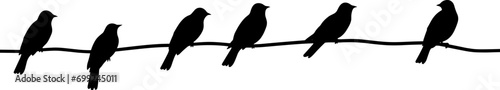 Silhouette of birds on the wires for decoration. AI generated illustration.