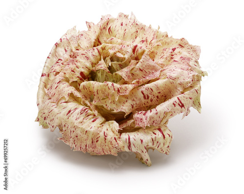 Castelfranco (Italian vegetable that looks like a rose flower) photo