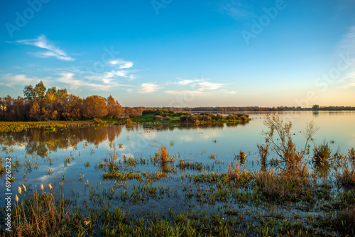 Obraz w ramie Beautiful lagoon landscape with birds in the Doñana National Park, Huelva, Anadalucia, Spain, at sunset